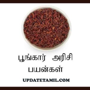 பூங்கார் அரிசி பயன்கள்