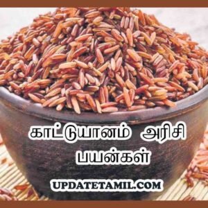 அரிசி வகைகள் Archives - Update Thamizha