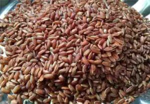 kattuyanam rice health benefits