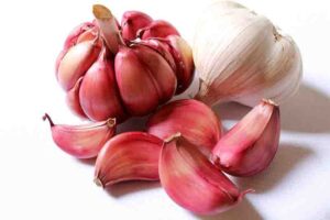 Garlic Benefits in Tamil