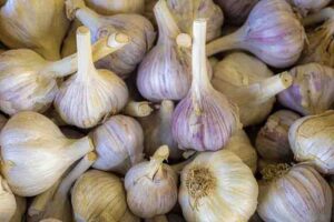 Garlic side effects in tamil