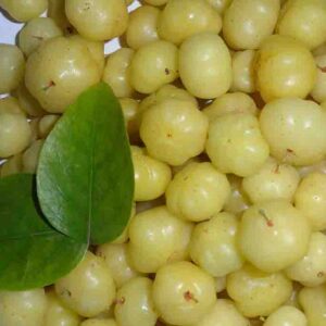 Nellikai Health Benefits in Tamil 