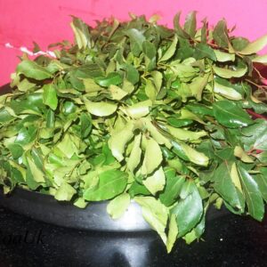 கறிவேப்பிலை பயன்கள் Karuveppilai Benefits in Tamil