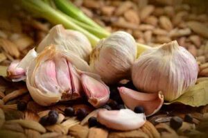 பூண்டு சாப்பிடுவதால் ஏற்படும் நன்மைகள் Garlic Benefits in Tamil