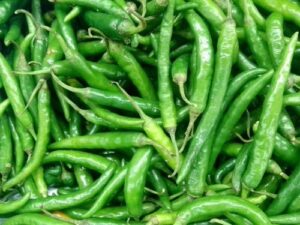  பச்சைமிளகாயில் உள்ள சத்துக்கள் Green Chillies Nutrition Facts in Tamil 