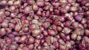 சின்ன வெங்காயத்தில் உள்ள சத்துக்கள் Small Onion Nutrition Facts in Tamil 