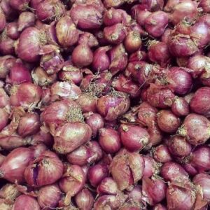 சின்ன வெங்காயத்தில் உள்ள சத்துக்கள் Small Onion Nutrition Facts in Tamil 